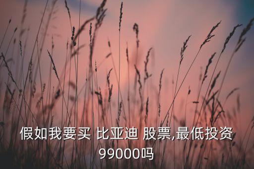 假如我要買 比亞迪 股票,最低投資99000嗎
