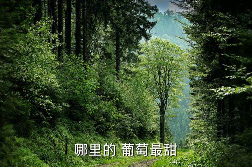 中國(guó)葡萄種植面積,葡萄產(chǎn)業(yè)的現(xiàn)狀及發(fā)展
