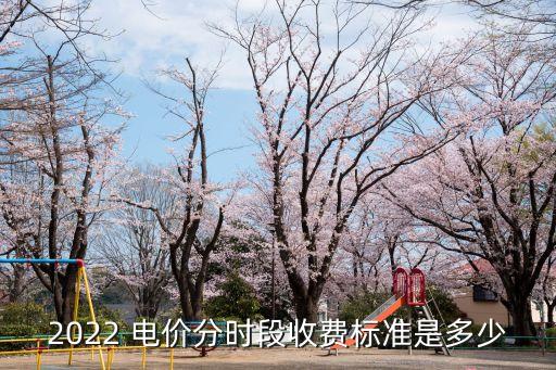 2022 電價分時段收費標(biāo)準(zhǔn)是多少