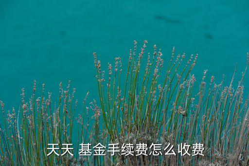 上海天天基金銷售