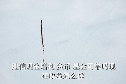  建信現(xiàn)金增利 貨幣 基金可靠嗎現(xiàn)在收益怎么樣