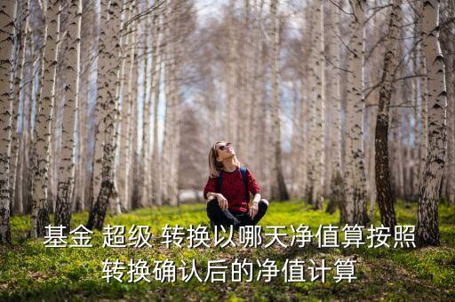  基金 超級 轉(zhuǎn)換以哪天凈值算按照 轉(zhuǎn)換確認(rèn)后的凈值計算