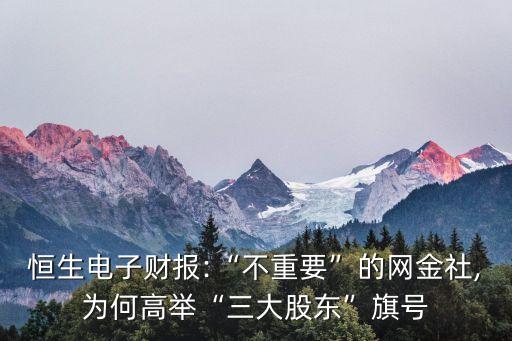 恒生電子財報:“不重要”的網金社,為何高舉“三大股東”旗號