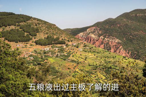  五糧液出過(guò)主板了解的進(jìn)