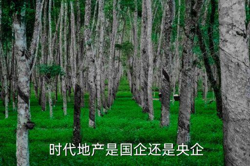  時代地產(chǎn)是國企還是央企