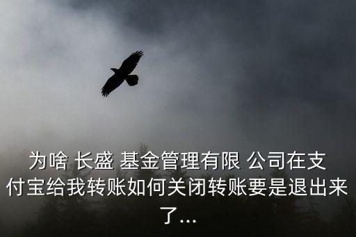 為啥 長盛 基金管理有限 公司在支付寶給我轉賬如何關閉轉賬要是退出來了...