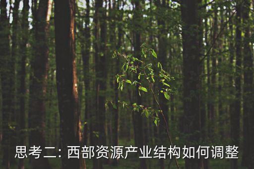 思考二: 西部資源產業(yè)結構如何調整