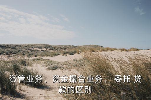 資管業(yè)務(wù)、資金撮合業(yè)務(wù)、 委托 貸款的區(qū)別