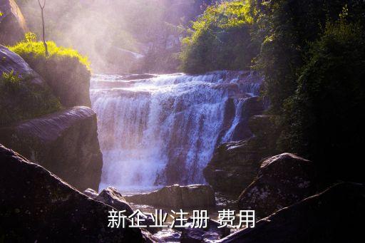 新企業(yè)注冊 費用