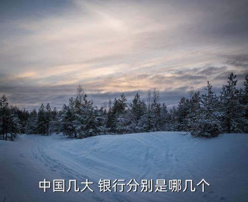 中國幾大 銀行分別是哪幾個