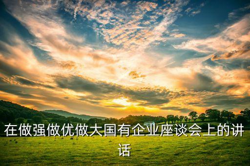 在做強(qiáng)做優(yōu)做大國有企業(yè)座談會上的講話