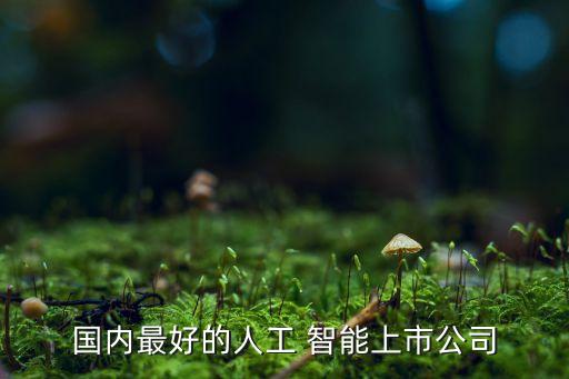 國內最好的人工 智能上市公司