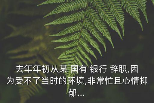 去年年初從某 國(guó)有 銀行 辭職,因?yàn)槭懿涣水?dāng)時(shí)的環(huán)境,非常忙且心情抑郁...