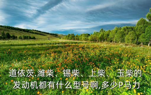 道依茨.濰柴、錫柴、上柴、 玉柴的 發(fā)動機都有什么型號啊,多少P馬力