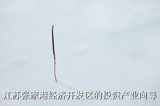 江蘇張家港經(jīng)濟(jì)開(kāi)發(fā)區(qū)的投資產(chǎn)業(yè)向?qū)? class=