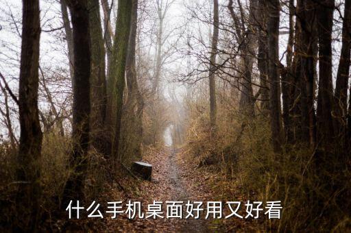 北京風靈創(chuàng)景科技有限公司怎么樣
