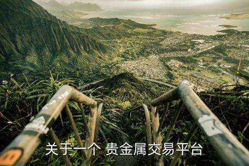 關于一個 貴金屬交易平臺