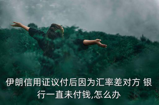 伊朗信用證議付后因?yàn)閰R率差對(duì)方 銀行一直未付錢(qián),怎么辦