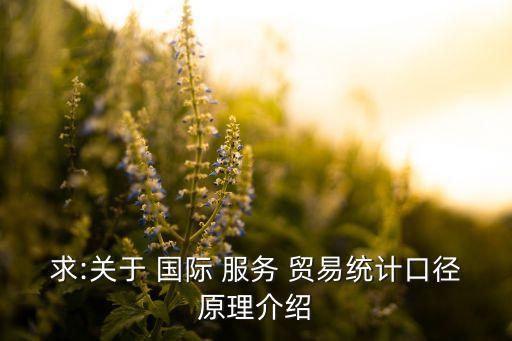 求:關(guān)于 國際 服務(wù) 貿(mào)易統(tǒng)計(jì)口徑原理介紹