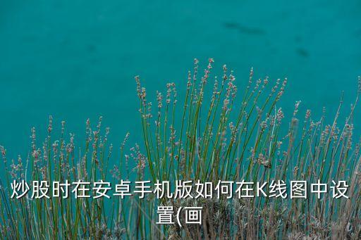 炒股時在安卓手機(jī)版如何在K線圖中設(shè)置(畫