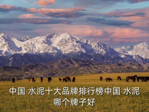 中國 水泥十大品牌排行榜中國 水泥哪個(gè)牌子好