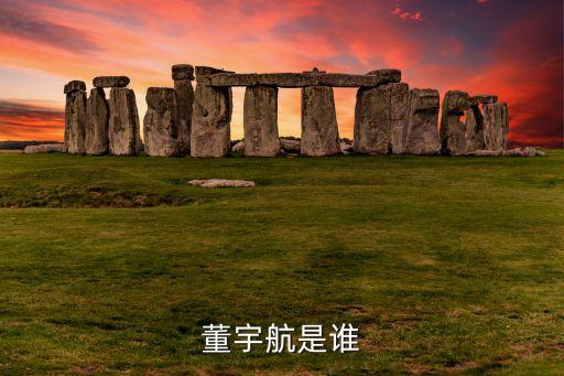 董宇航是誰