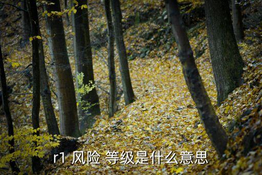 r1 風(fēng)險 等級是什么意思