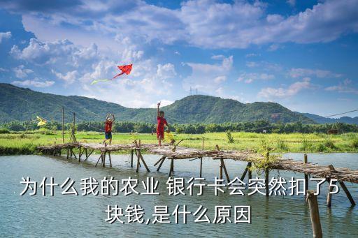 為什么我的農業(yè) 銀行卡會突然扣了5塊錢,是什么原因