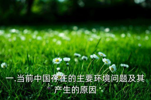 一.當(dāng)前中國(guó)存在的主要環(huán)境問題及其產(chǎn)生的原因