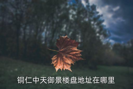銅仁中天御景樓盤(pán)地址在哪里