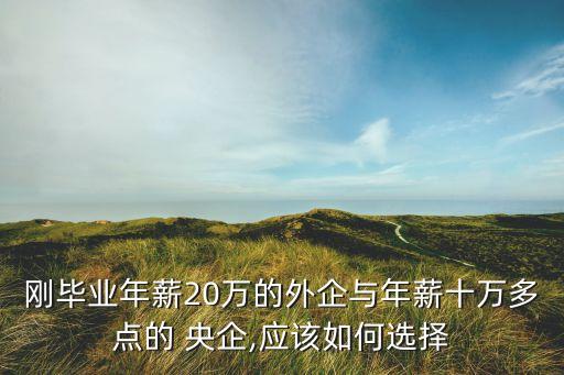 剛畢業(yè)年薪20萬的外企與年薪十萬多點的 央企,應該如何選擇