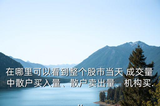在哪里可以看到整個(gè)股市當(dāng)天 成交量中散戶買入量、散戶賣出量、機(jī)構(gòu)買...