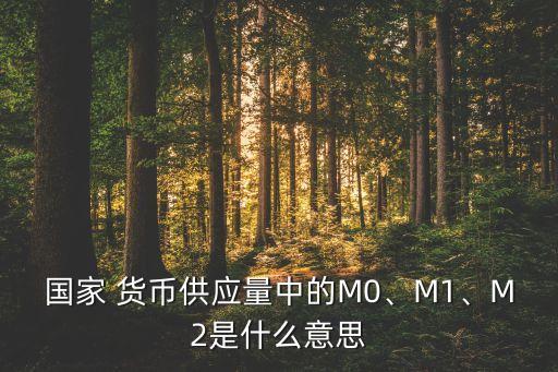 國家 貨幣供應(yīng)量中的M0、M1、M2是什么意思