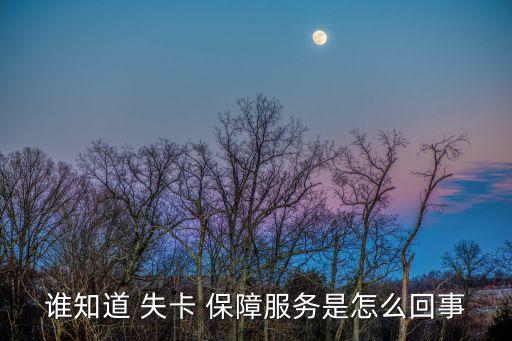 誰知道 失卡 保障服務是怎么回事