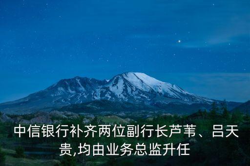  中信銀行補(bǔ)齊兩位副行長(zhǎng)蘆葦、呂天貴,均由業(yè)務(wù)總監(jiān)升任