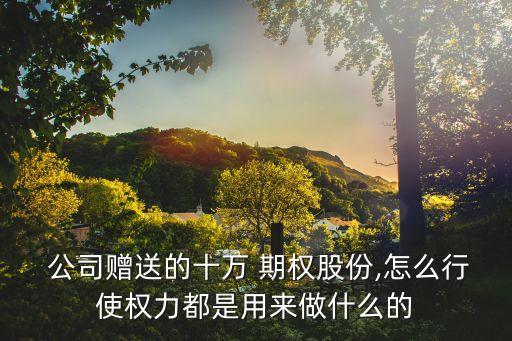  公司贈(zèng)送的十萬 期權(quán)股份,怎么行使權(quán)力都是用來做什么的