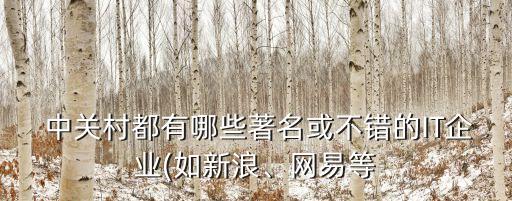  中關(guān)村都有哪些著名或不錯的IT企業(yè)(如新浪、網(wǎng)易等