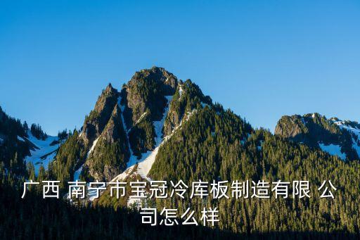 廣西 南寧市寶冠冷庫(kù)板制造有限 公司怎么樣