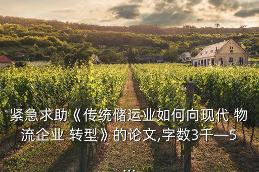 緊急求助《傳統(tǒng)儲運(yùn)業(yè)如何向現(xiàn)代 物流企業(yè) 轉(zhuǎn)型》的論文,字?jǐn)?shù)3千—5...