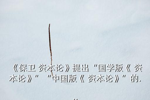 21世紀(jì)資本論對(duì)中國經(jīng)濟(jì)意義