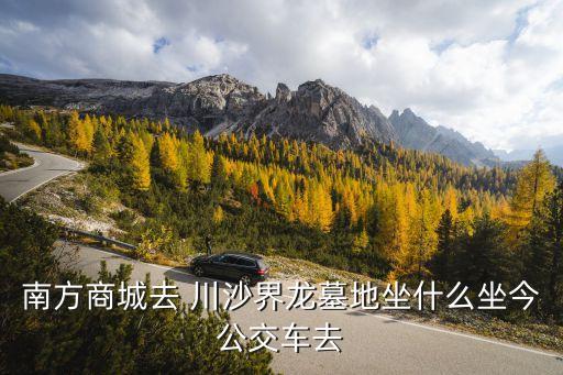 南方商城去 川沙界龍墓地坐什么坐今公交車(chē)去