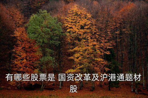 有哪些股票是 國資改革及滬港通題材股