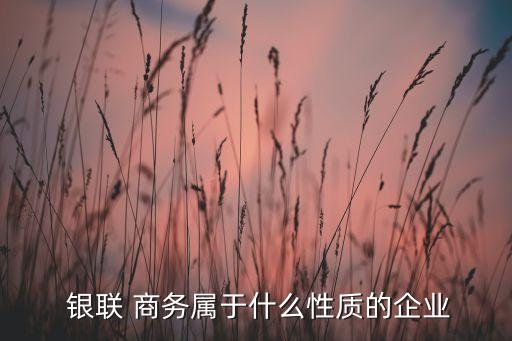  銀聯(lián) 商務屬于什么性質的企業(yè)