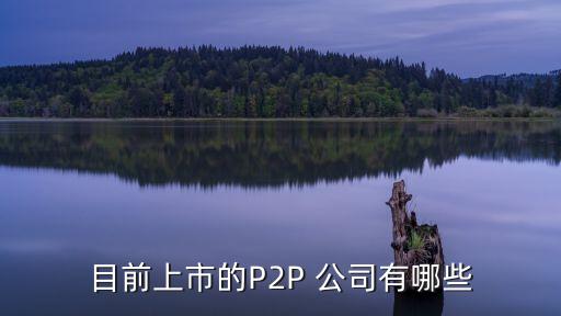 p2p是哪家公司引進(jìn)中國的