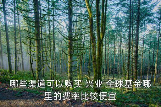 哪些渠道可以購買 興業(yè) 全球基金哪里的費率比較便宜