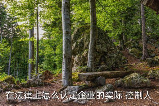 實際控制公司,gp和lp誰實際控制公司