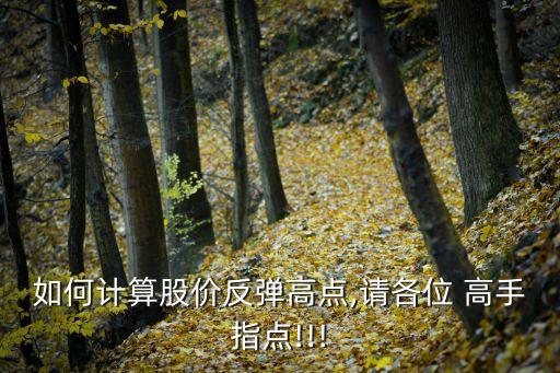 如何計算股價反彈高點(diǎn),請各位 高手指點(diǎn)!!!