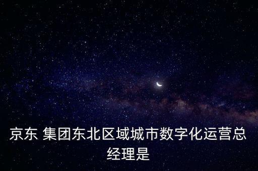 京東 集團(tuán)東北區(qū)域城市數(shù)字化運(yùn)營總經(jīng)理是