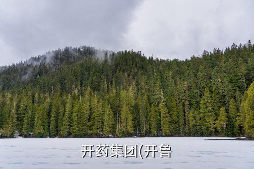開(kāi)藥集團(tuán)(開(kāi)魯