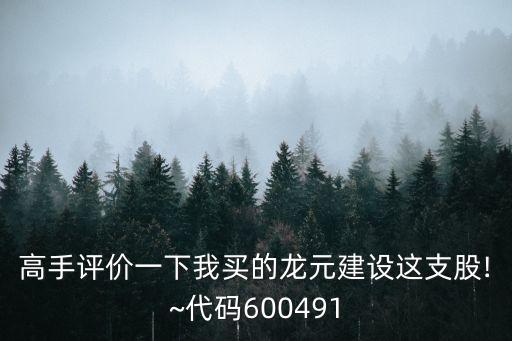 高手評價一下我買的龍元建設這支股!~代碼600491